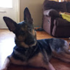 Meet your Posher, Cynthia